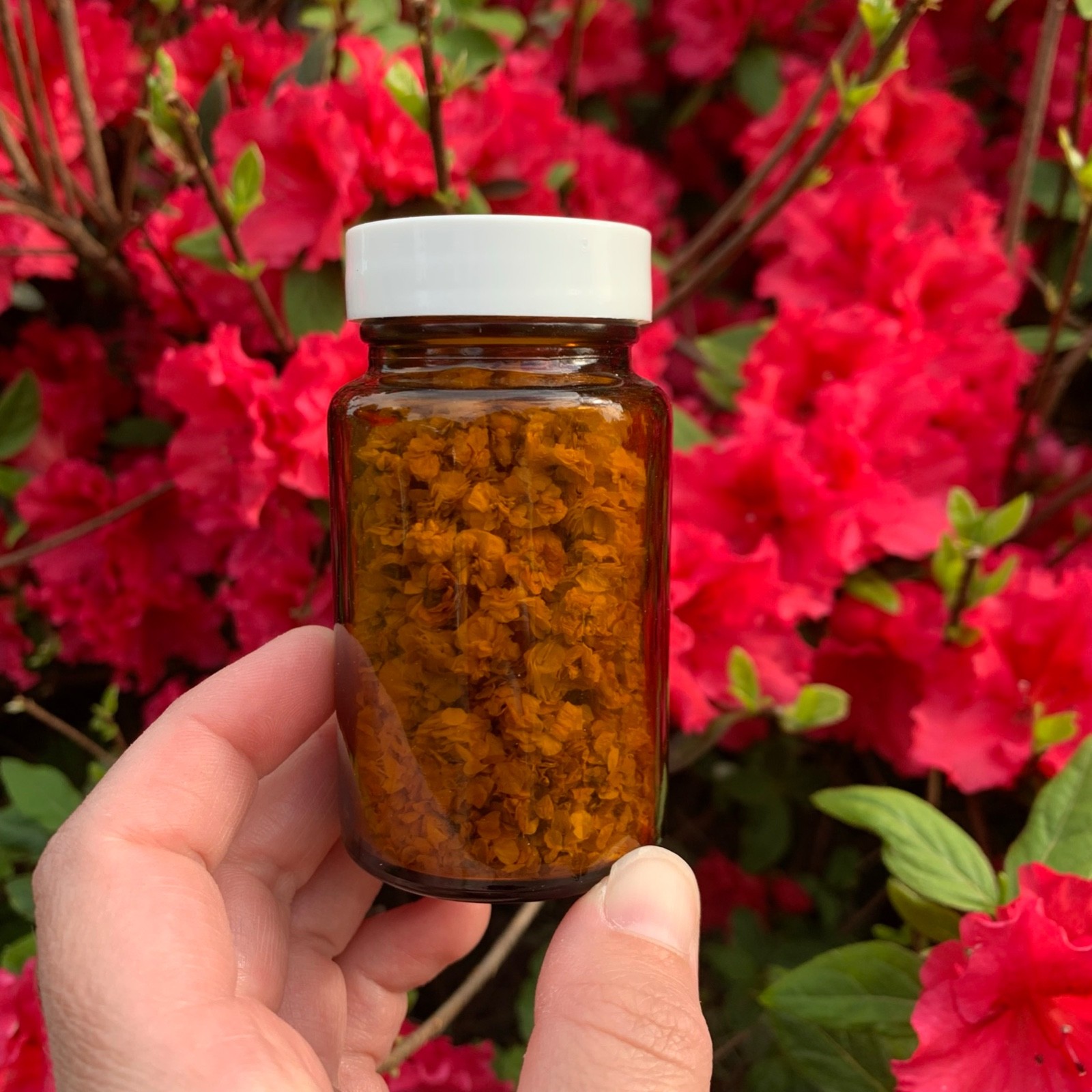 Handmade Floral Decor Centerpiece Amber Glass Bottle Dried Flowers Cottagecore