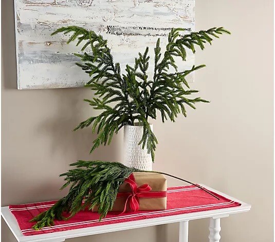 Set of 3 38″ Natural Touch Norfolk Pine Stems by Valerie – H442805