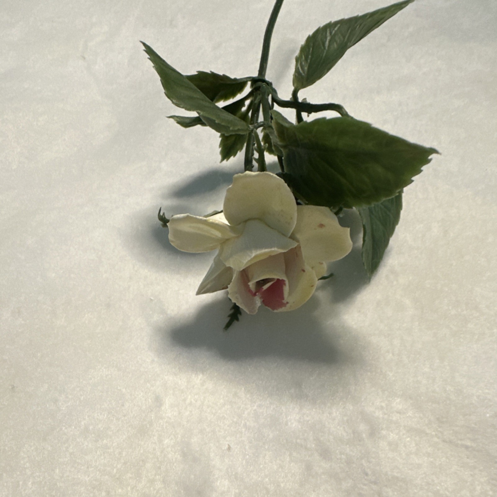 Artificial Rose Flower Stem Cream Pink with Green Leaves Plastic Floral Decor