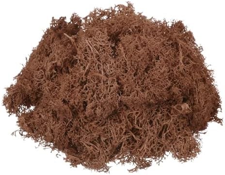 7.4oz Preserved Reindeer Moss, Coffee Brown Decorative Artificial Fake Moss for