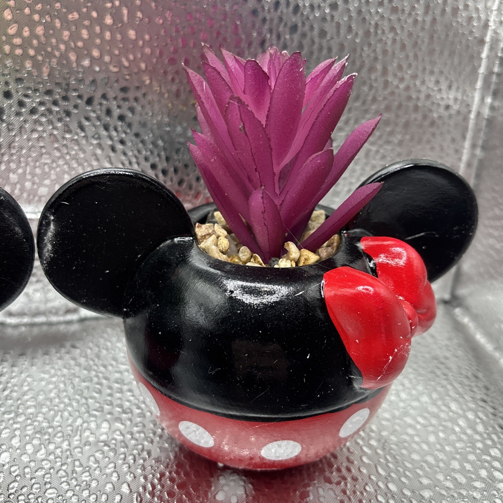 Mickey & Minnie Classic Succulent Set (2 Piece Set)