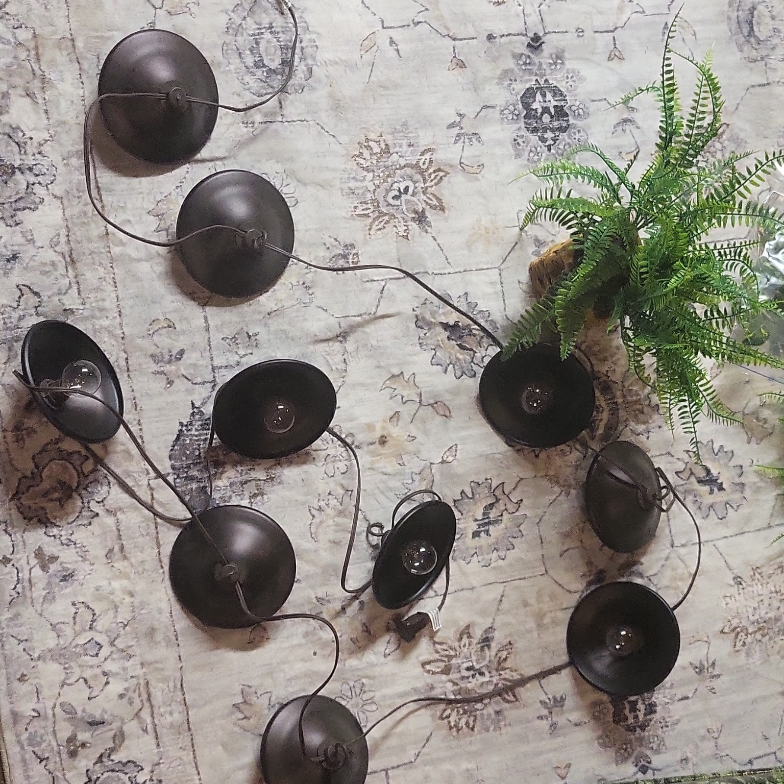 Classroom Zoo/Safari Decor. Lights 6ft approx., greenery & plant