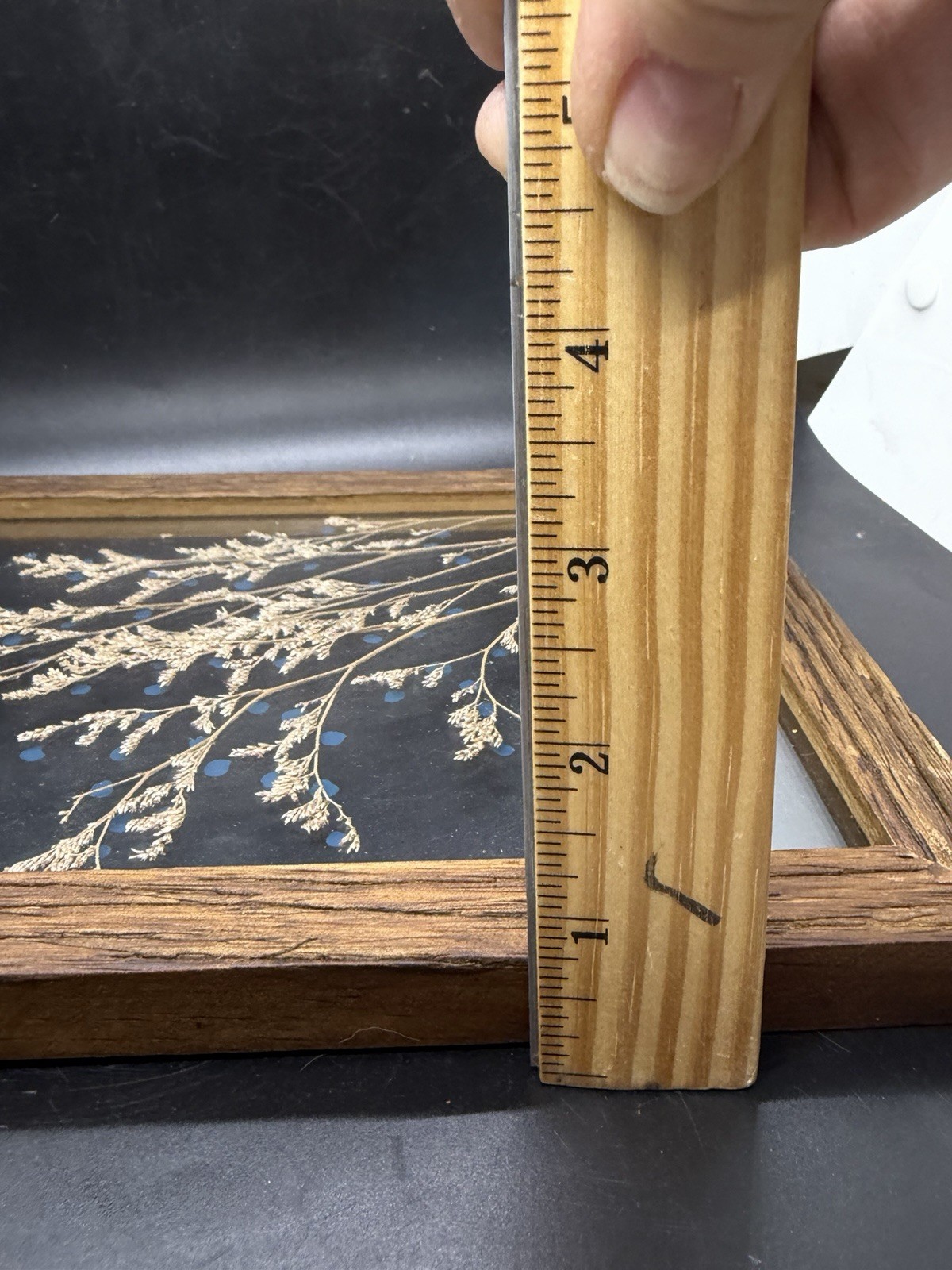 Pressed Dried Flowers in Double Glass Floating Wood Frame