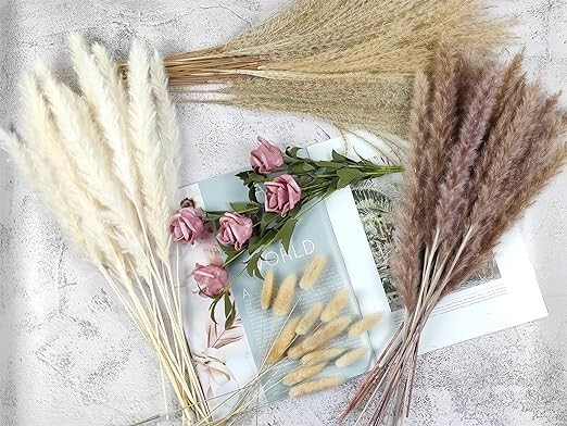Premium Carefully Hand-Picked Natural Dried Fluffy Pompas Grass 17″