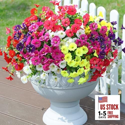 6 Mixed Color(2 Fuchsia, 2 Purple, 2 Yellow, 2 White, 2 Red, 2 Hot Pink)