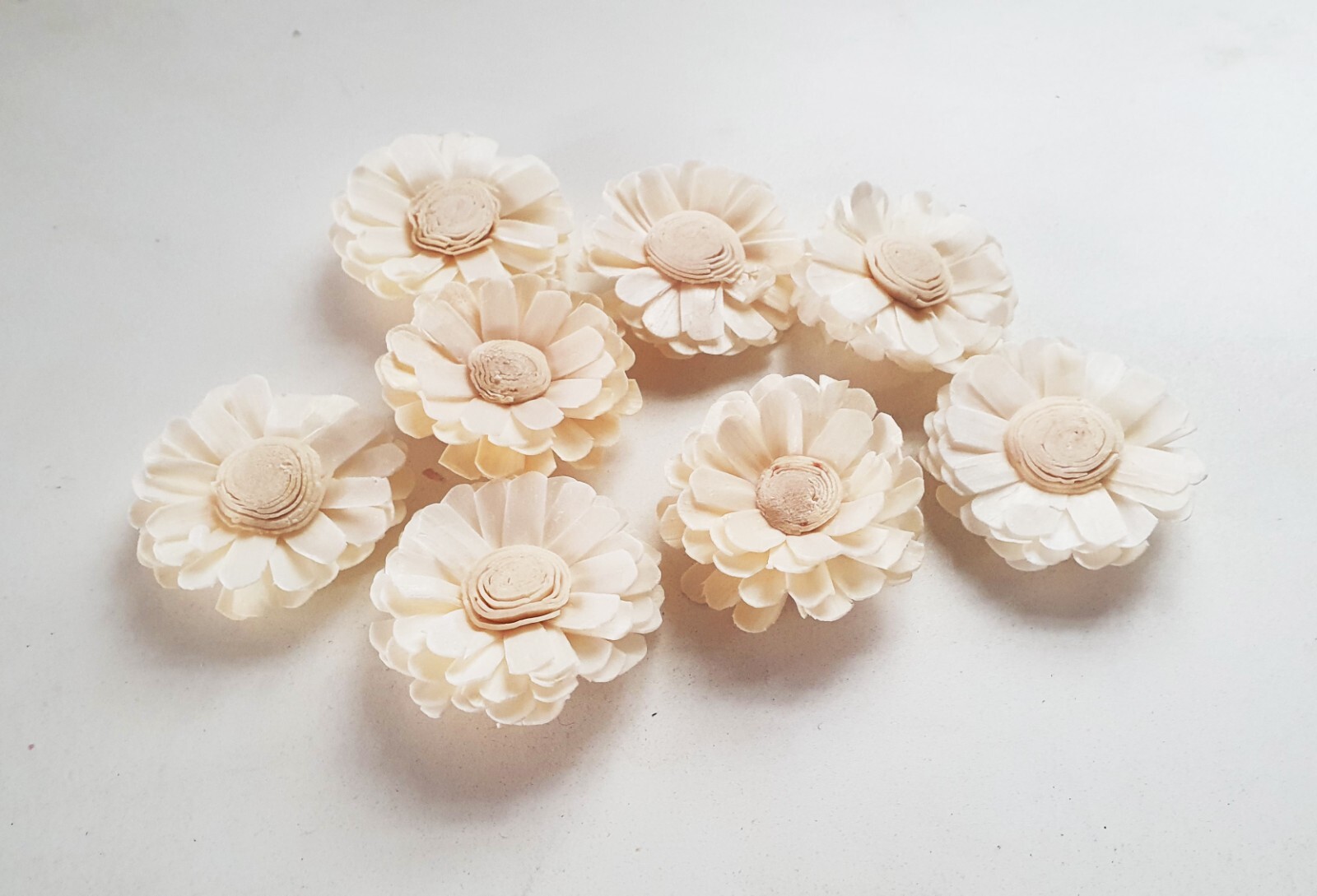 15 White Daisy Sola Wood Flower Diffuser Flowers 5 cm Dia. For Decorate Craft
