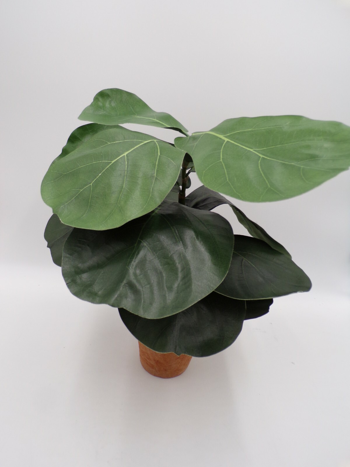 Pottery Barn Faux Potted Fiddle Leaf Houseplant with Terracotta Pot #2001M