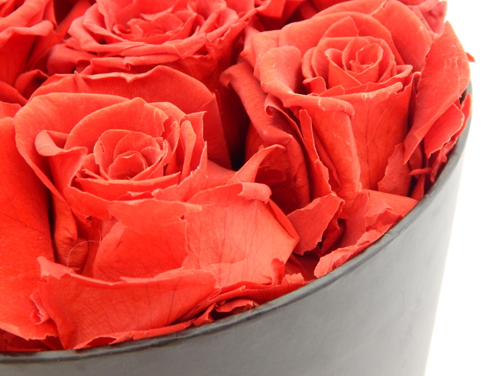 VLove® Forever Preserved Roses in a Box Real Forever Flowers Eternal Rose Red