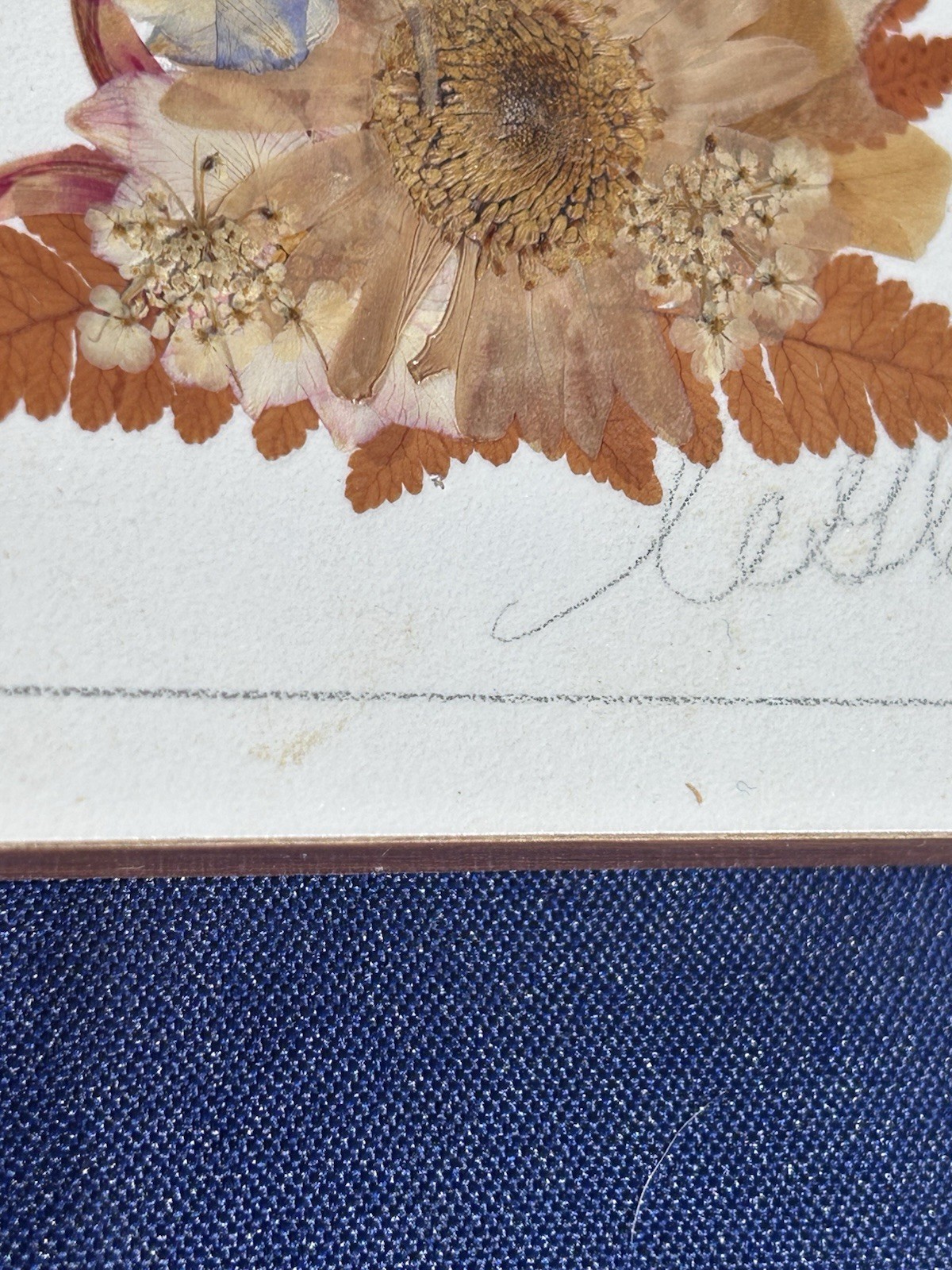 Vintage Pressed Flower Art Set 5 Botanical Floral Plaques Cottagecore Wall Decor