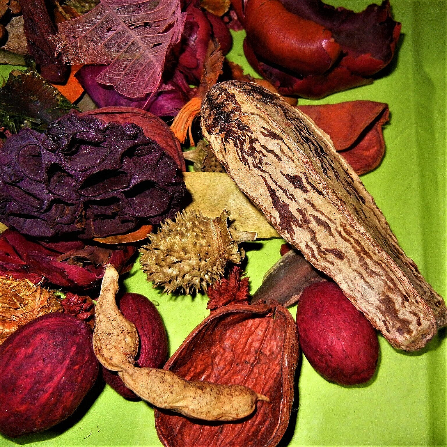 Flora Crafts Stems Dried Lotus Pods Curly Bark Flowers 3lbs