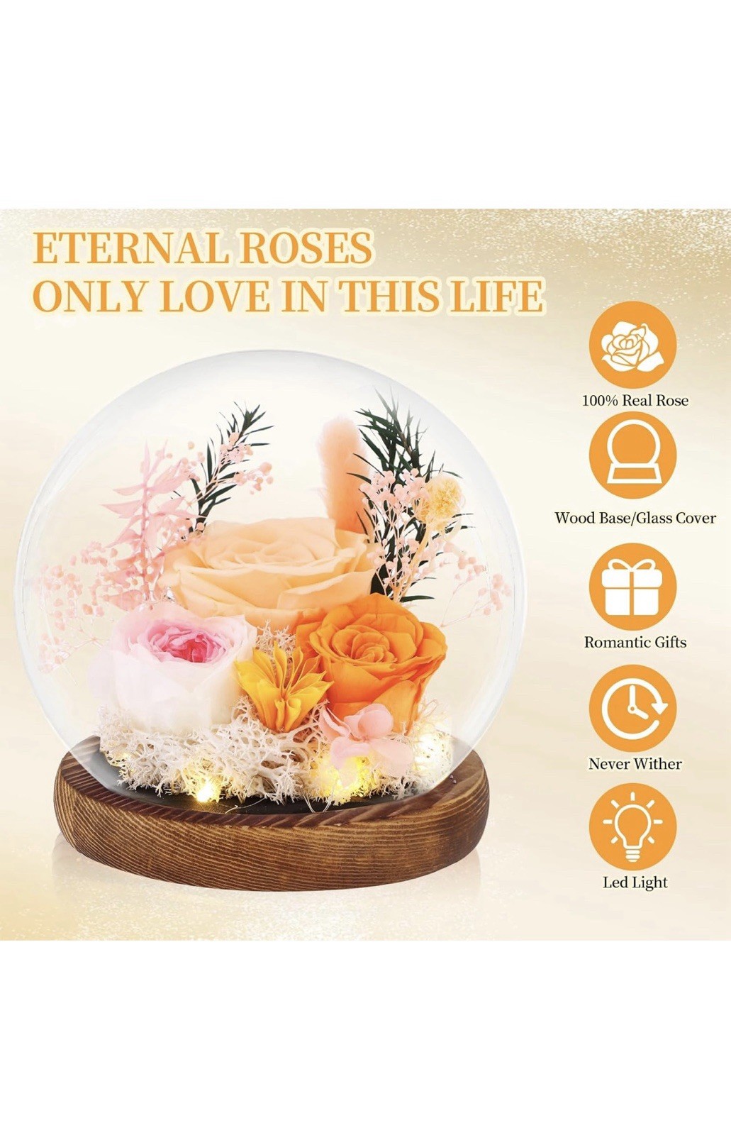 Preserved Roses Real Flowers in Glass Gifts for Women,Mom,Girlfriend,Grandma,…