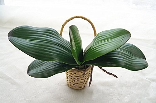 4 PCS 10 Inch Big Artificial Green Phalaenopsis Moth Orchid Leaf Latex Plant