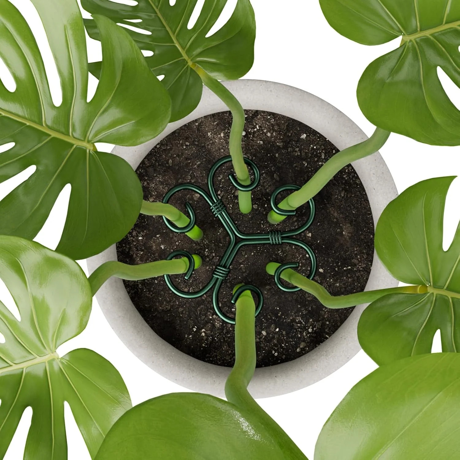 4PCS Green Iron Monstera Support, Uniquely Designed Plant Support Stakes for Ind