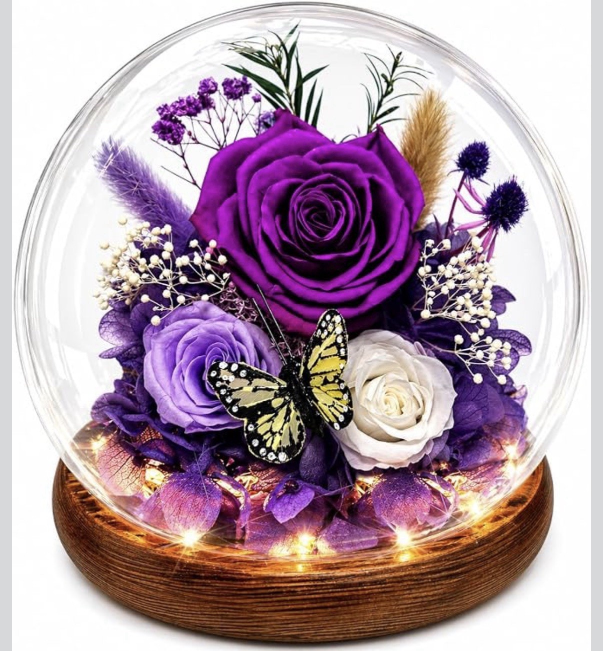 Purple/White Fresh Rose & Butterfly in Glass Dome w/ LED Base