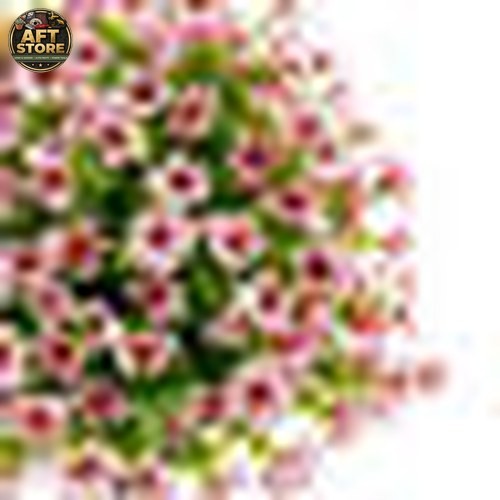 Ophelia & Co. UV Resistant Artificial Flowers – Set of 2