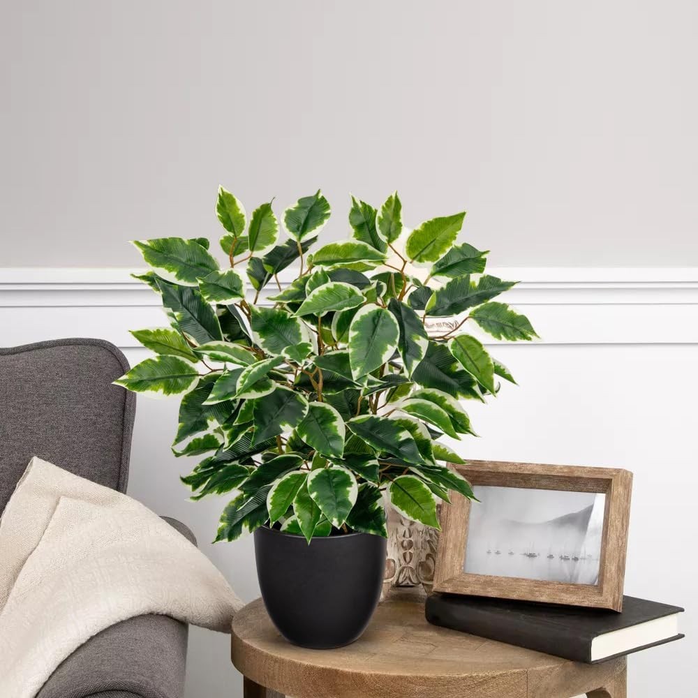 Fake Plant 15.7” Artificial Plants Indoor Small Ficus Potted Plants Silk Plan…