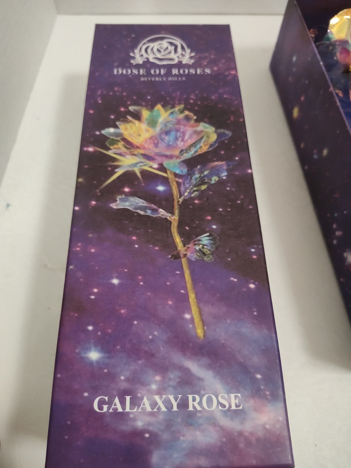 Romantic Beautiful Galaxy Rose Luminous 10″ Dose Of Roses Beverly Hills