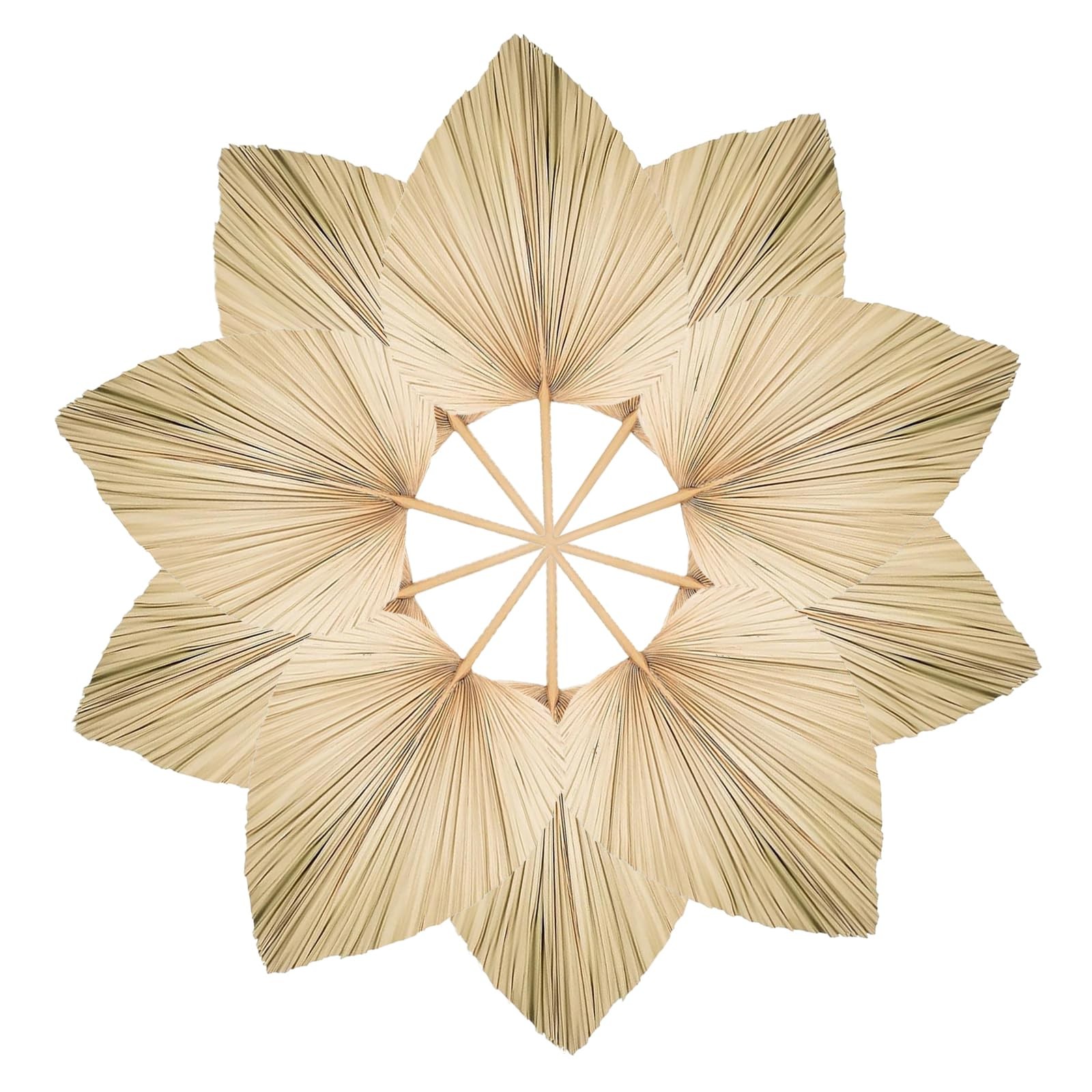 10 PCS 17.3 Inch Natural Dried Palm Leaves Beige Brown Wedding Decor