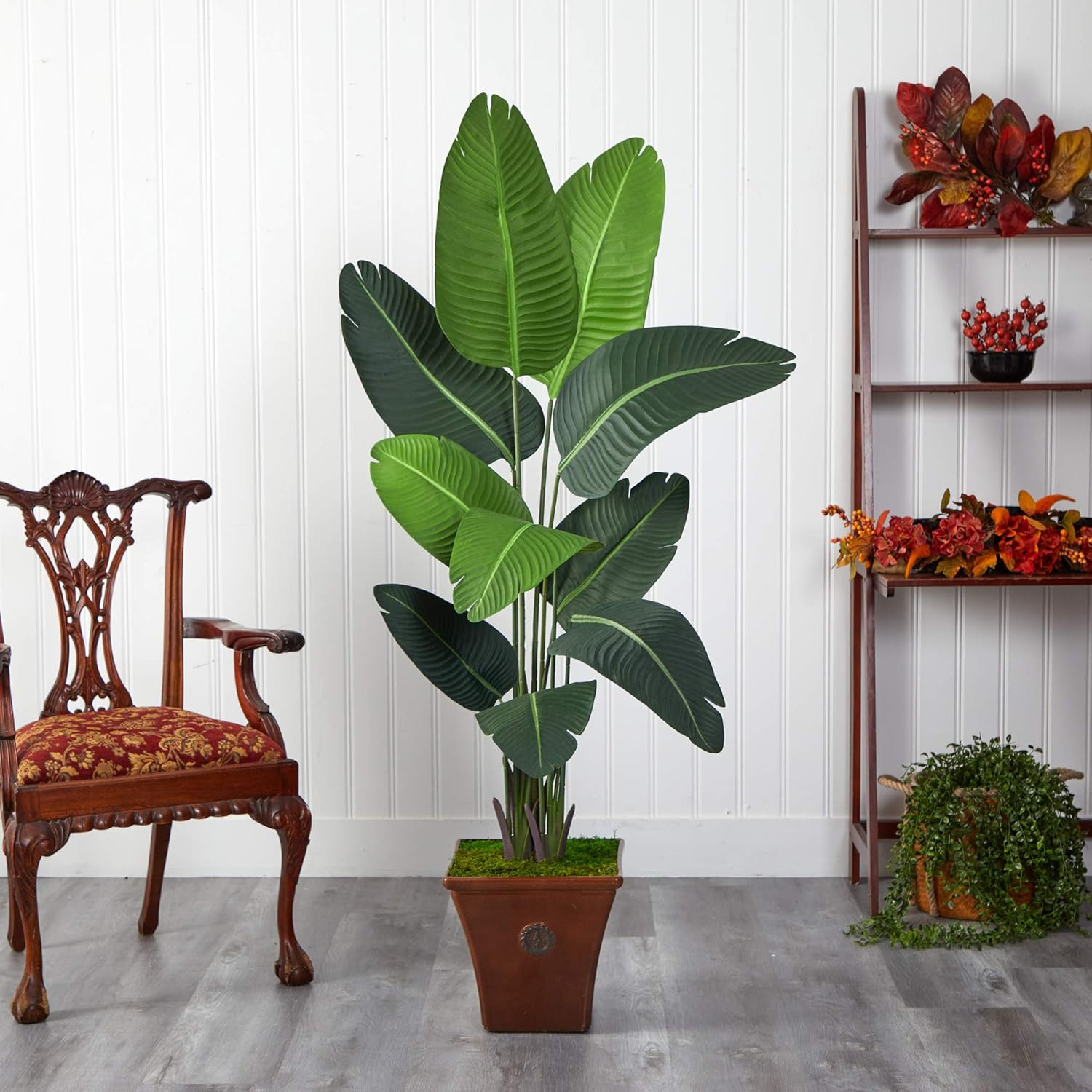 5.5Ft. Artificial Travelers Palm Tree in Stylish Brown Planter