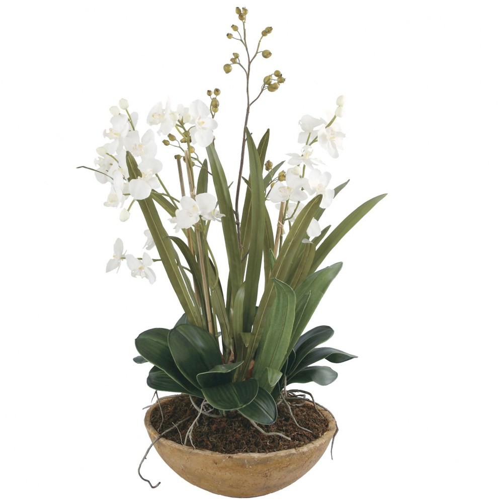 Moth Orchid – 33.5 inch Planter Accessories Uttermost 60039