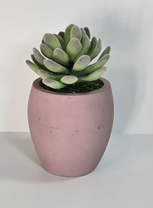 Modern Concrete Succulent in Pink Pot – Handmade Decor, No Water Needed!