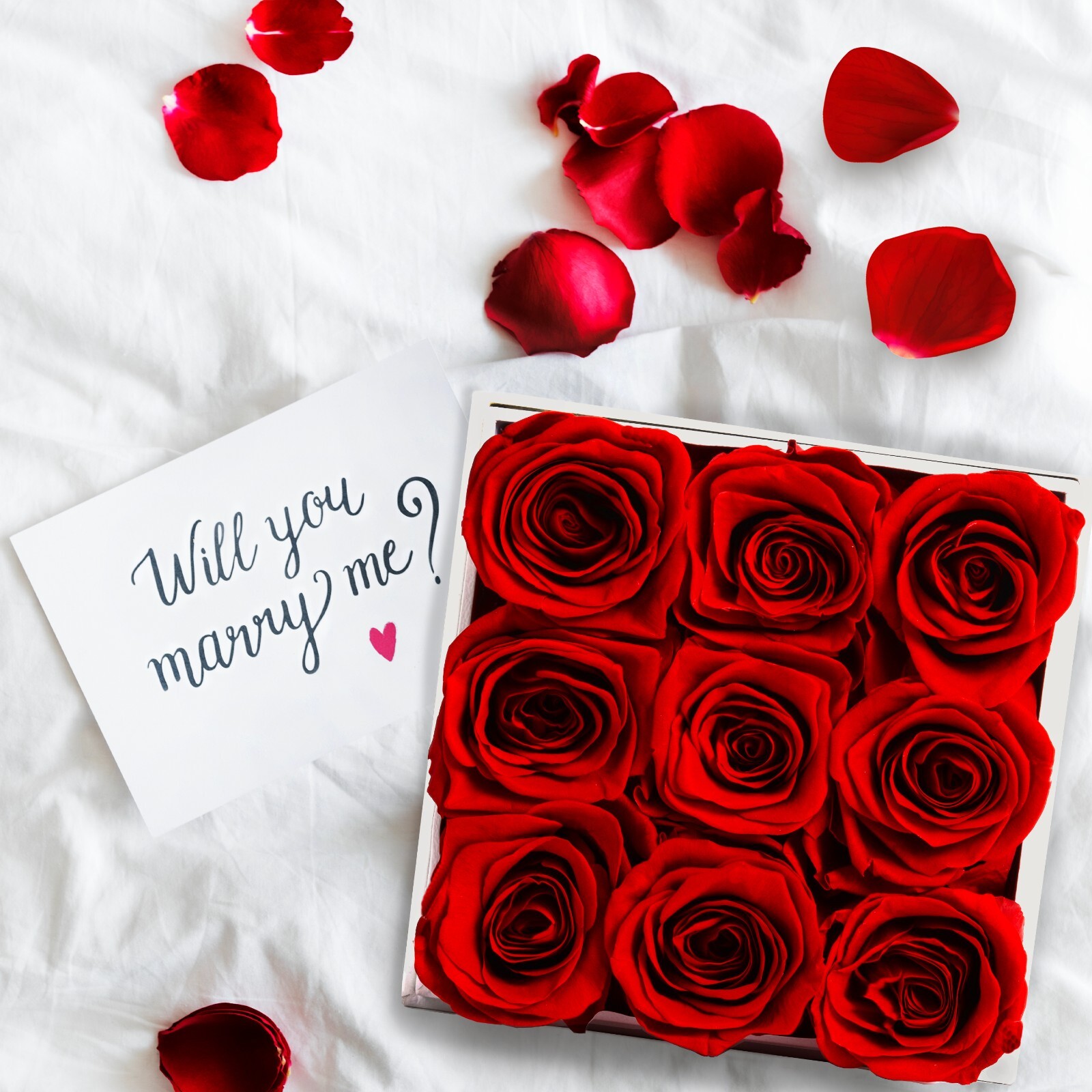 Glamour Boutique Preserved Roses in a Box 9-Piece Flowers Decor in Square Box