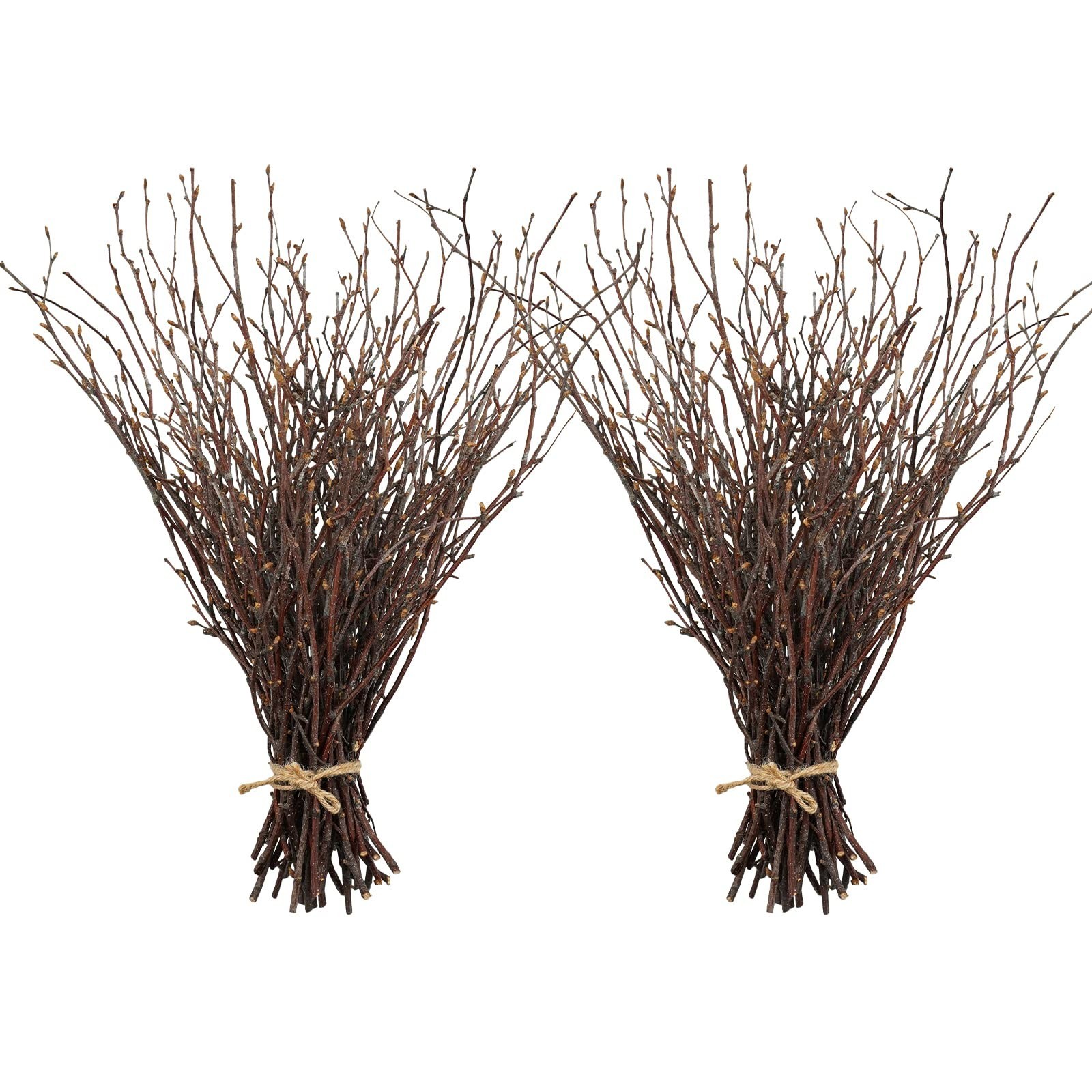 100PCS Dried Birch Twigs 17″ – Natural Decorative Branches for DIY Crafts, Vases