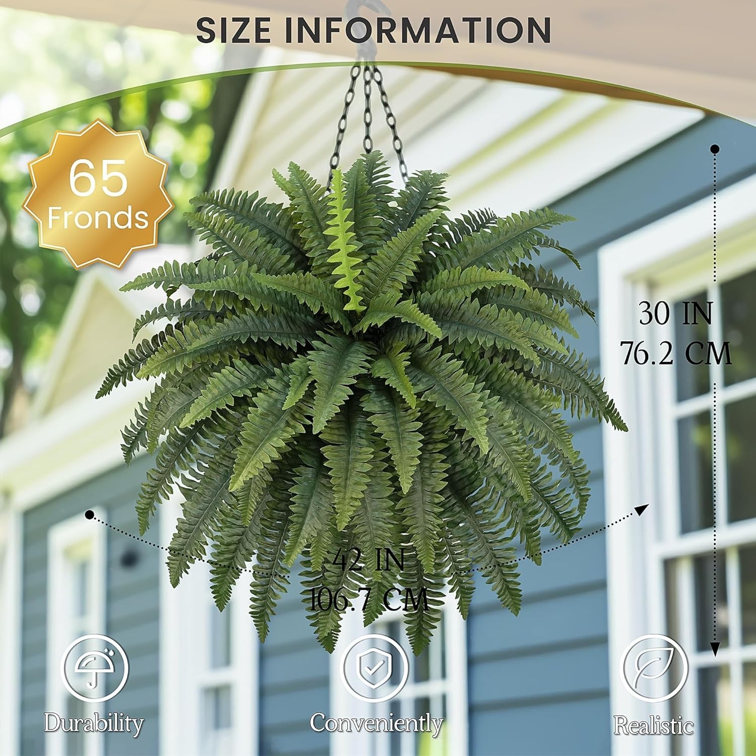 Eco-Friendly 42″ Boston Ferns – 2 Bundles for All-Season Indoor and Outdoor Use