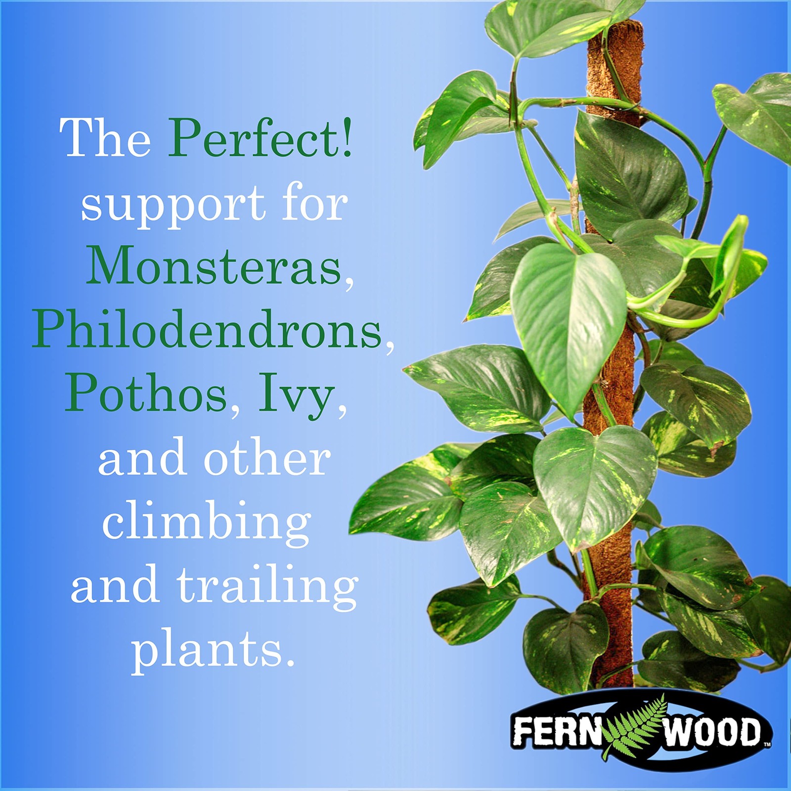 Tree Fern Totem Board- for Orchids, Aroids, and Other Climbing Plants | Soft,…