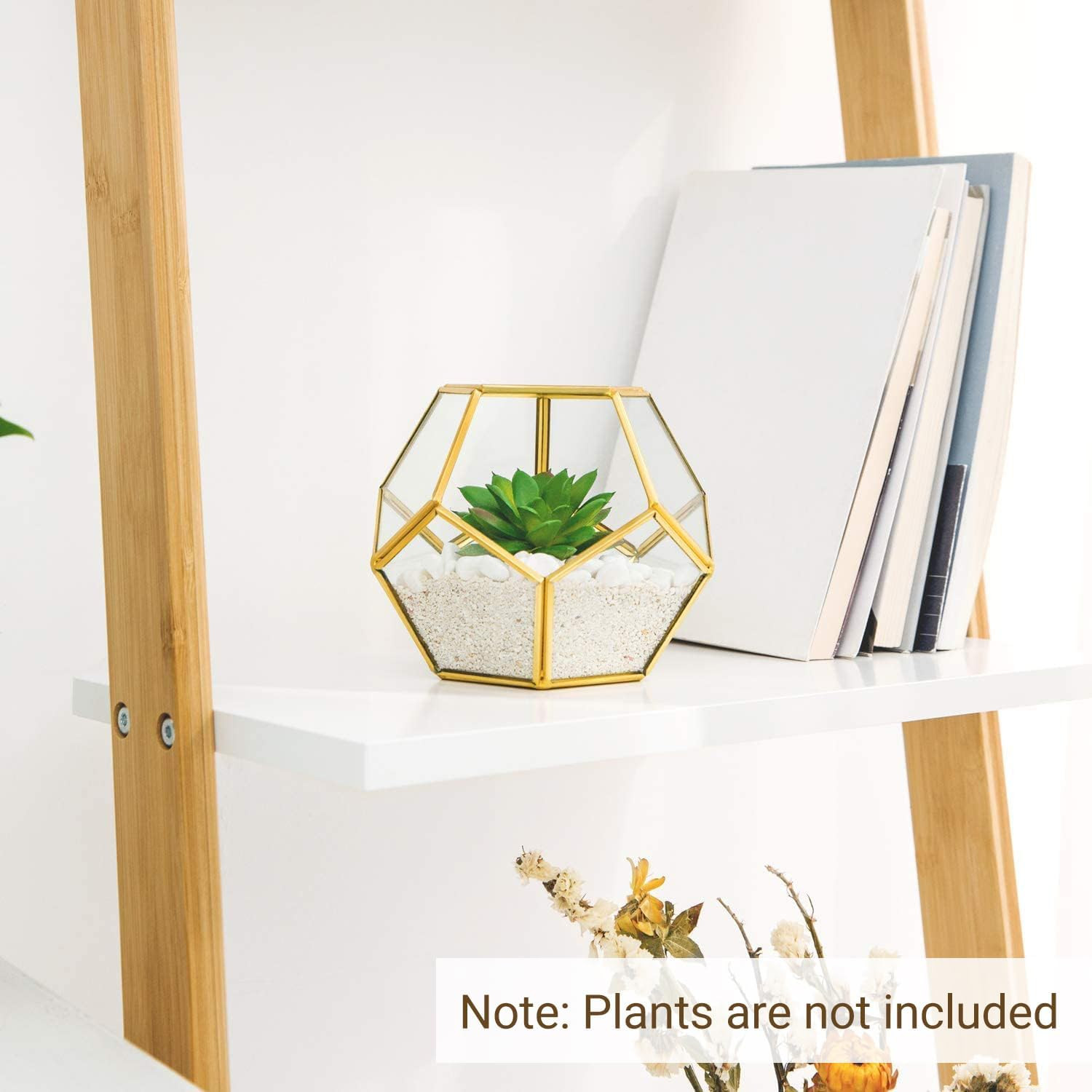 4 Inches Mini Glass Geometric Terrarium Container Set of 3 Modern Tabletop Plant