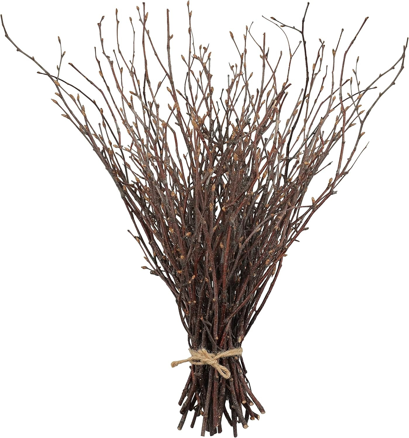 50PCS Birch Twigs – 17 Inch Natural Dried Plants Decorative Birch Branches for D