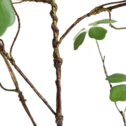 Artificial Eucalyptus Greenery Stems Fake Lotus Leaves Plants Green Leaves 3pcs