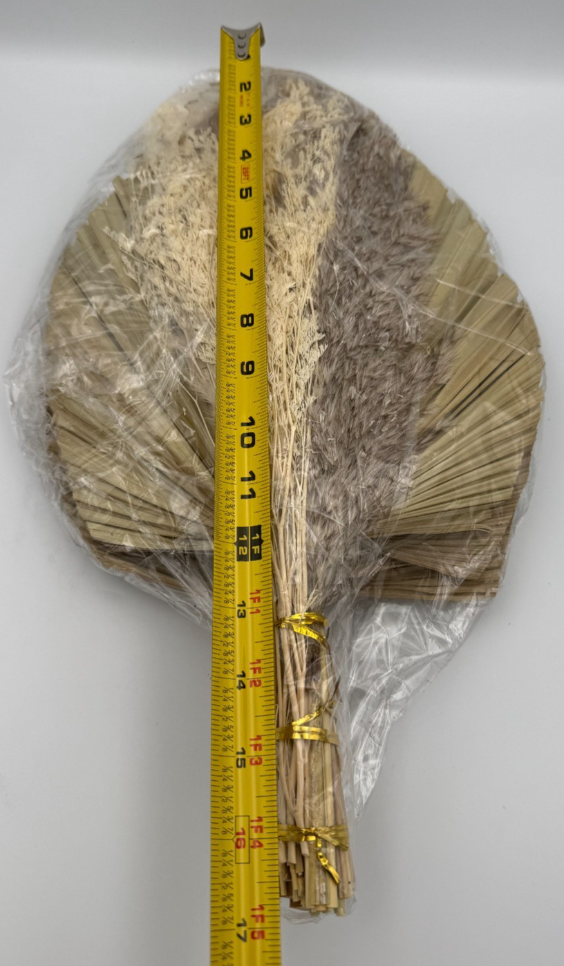 Dried Palm Leaves Fan Wall Decor Kit Natural Ornamental Grass Stems 16-17 in
