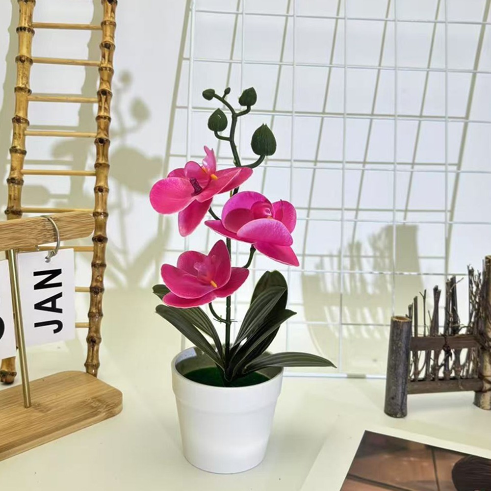 Phalaenopsis Bonsai Decorative Faux Plant Table Decoration Long-lasting Beauty