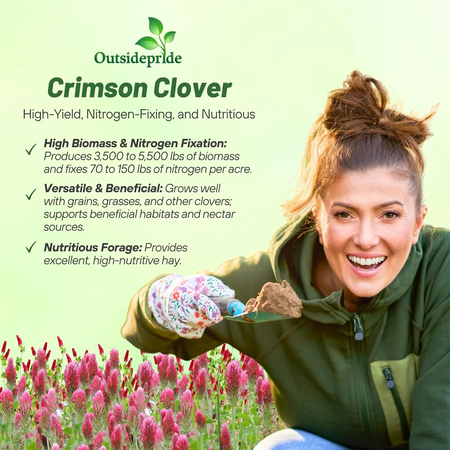 Outsidepride Crimson Clover Seeds – 1/4 lbs. Annual, Nitrocoated, & Inoculated G