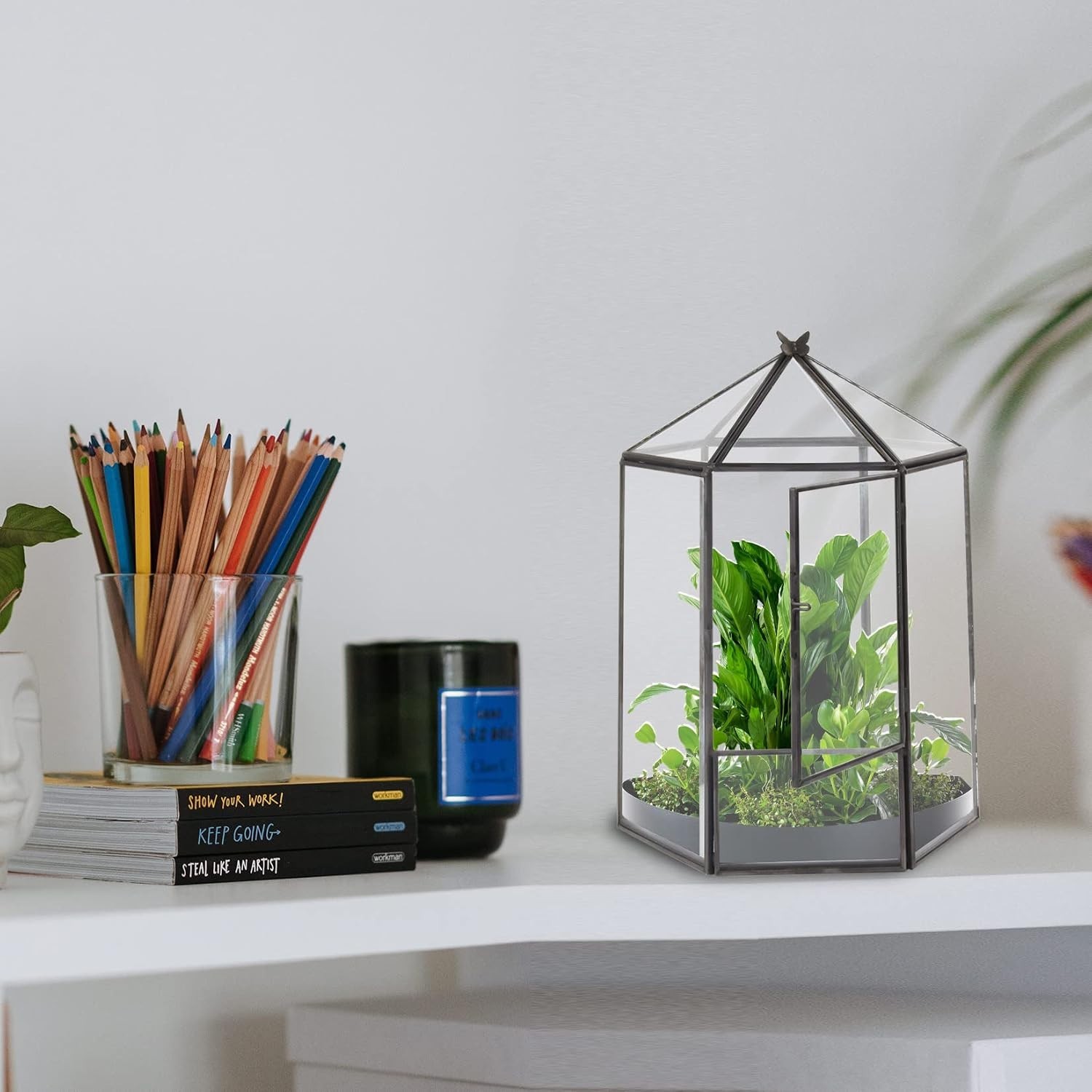 Hexagonal Black Plant Terrarium Kit