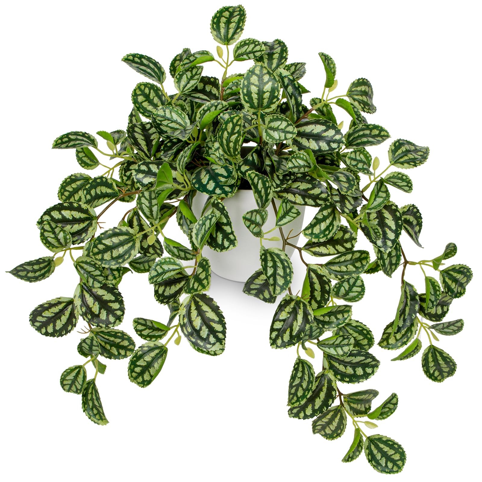 Faux Plant Indoor, 17.7″ Artificial Watermelon Peperomia Trailing Plant in Wh…