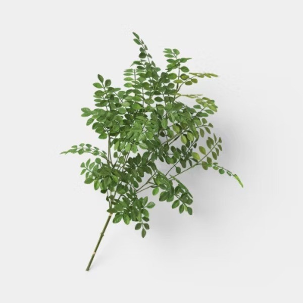 Green Leaf Stem