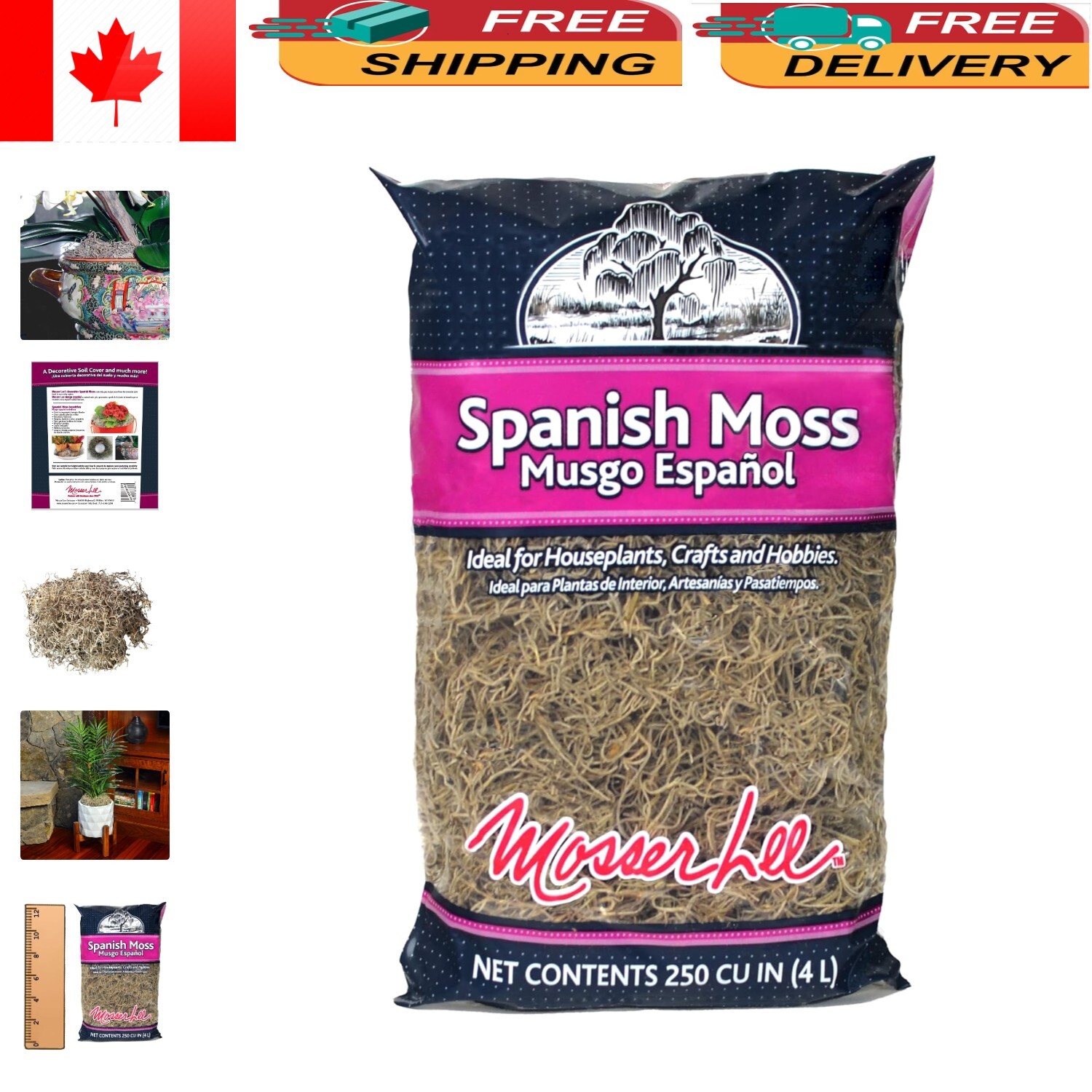 Natural Spanish Moss – 250 Cubic Inches for Terrarium and Flower Pot Elegance