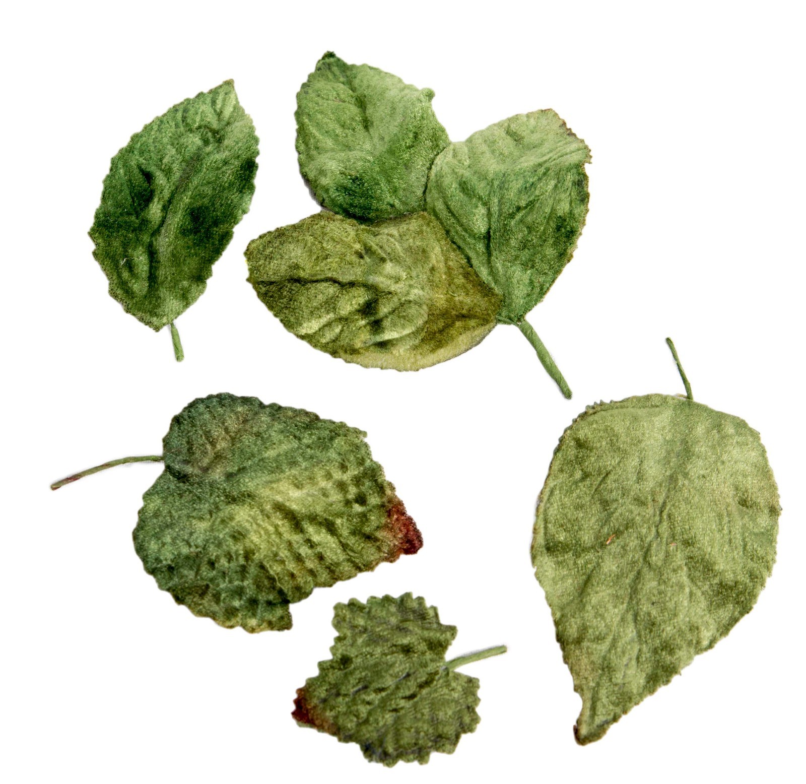 Assorted Velvet Leaves with Wired Stems Mix – 100g Bag DIY Crafts Millinery