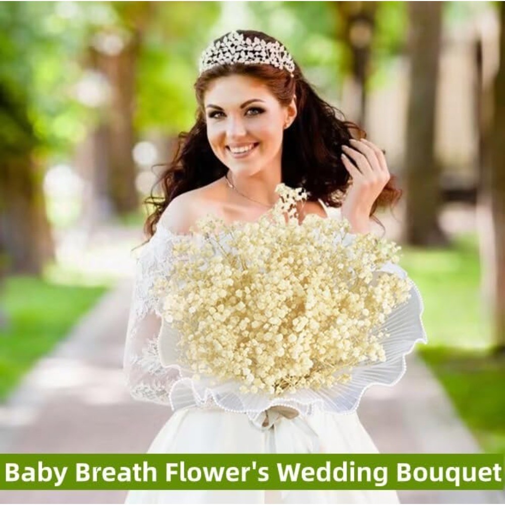 Dried Baby’s Breath Bulk 17 Ivory White Gypsophila Bouquet Natural Floral