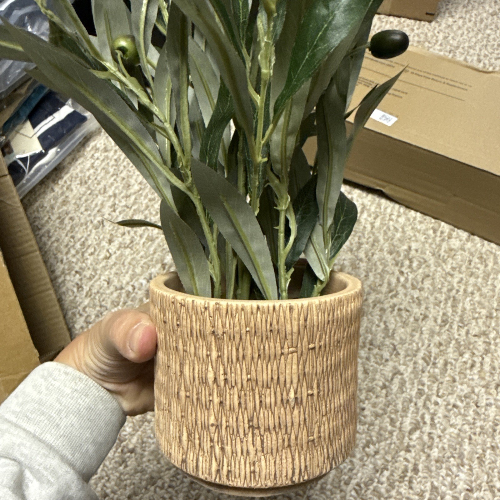 Indoor Artificial Olive Plant 12 Inch