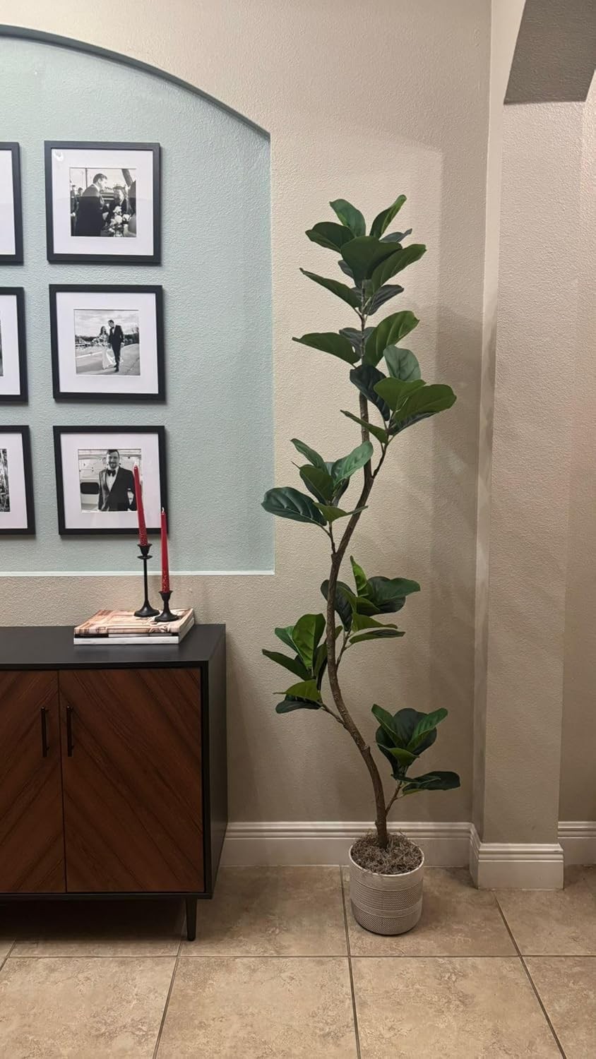 6 ft Artificial Fiddle Leaf Fig Tree Fake Plant with Black Nursery Planter Home