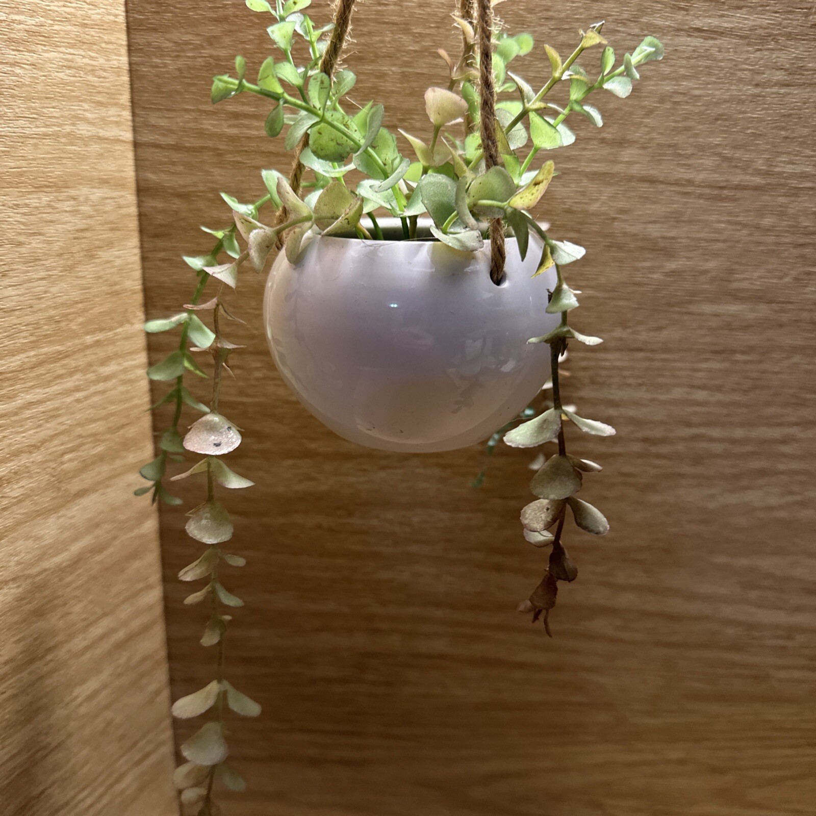 Artificial Faux Plant Hanging White Pot Succulent Green Leaf decor Small Planter