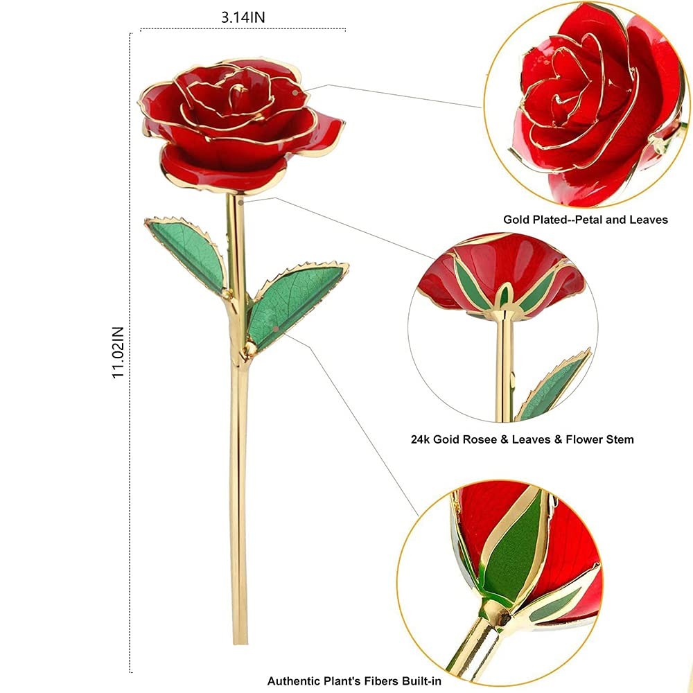 Gold Rose 24K Plated Gold Dipped Rose, Forever Preserved Red Rose Flowers
