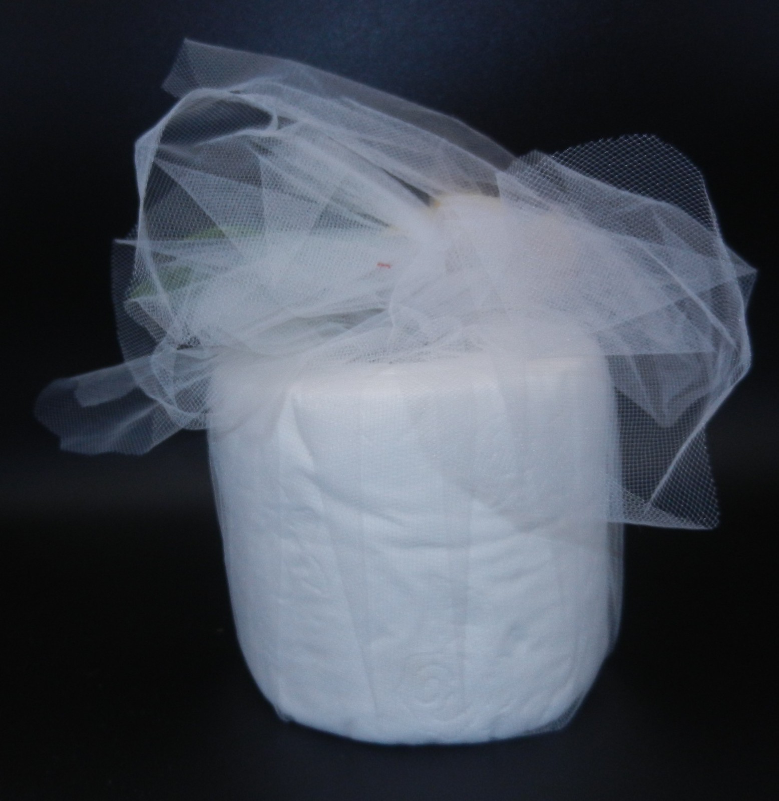 Blue Butterfly Embroidered Toiletpaper Roll wrapped in Tulle w/Rose on top!