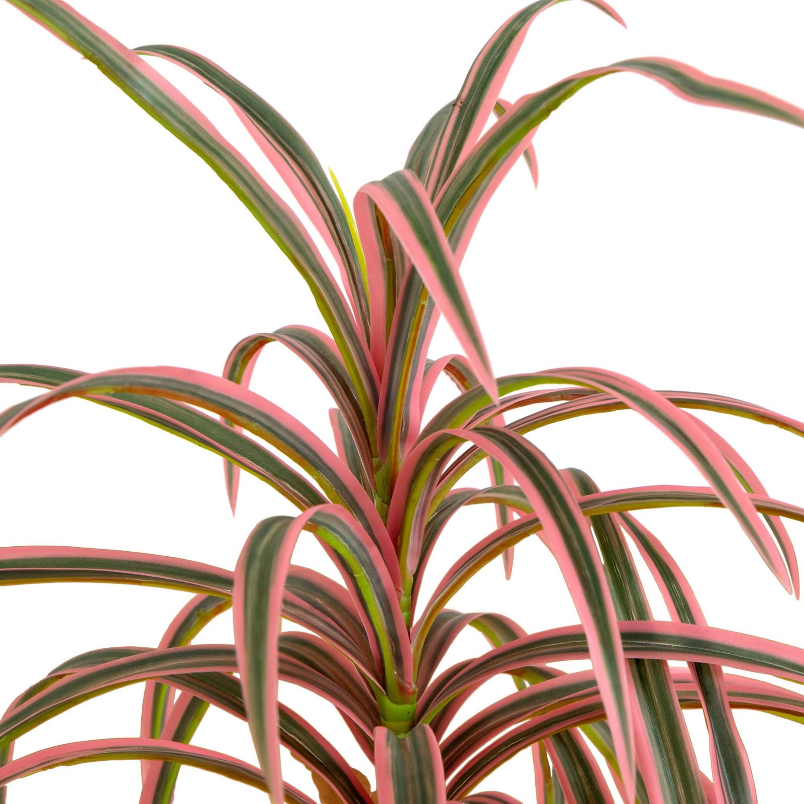 2 Foot Artificial Dracaena Marginata Plant Lifelike Indoor Desktop Decor