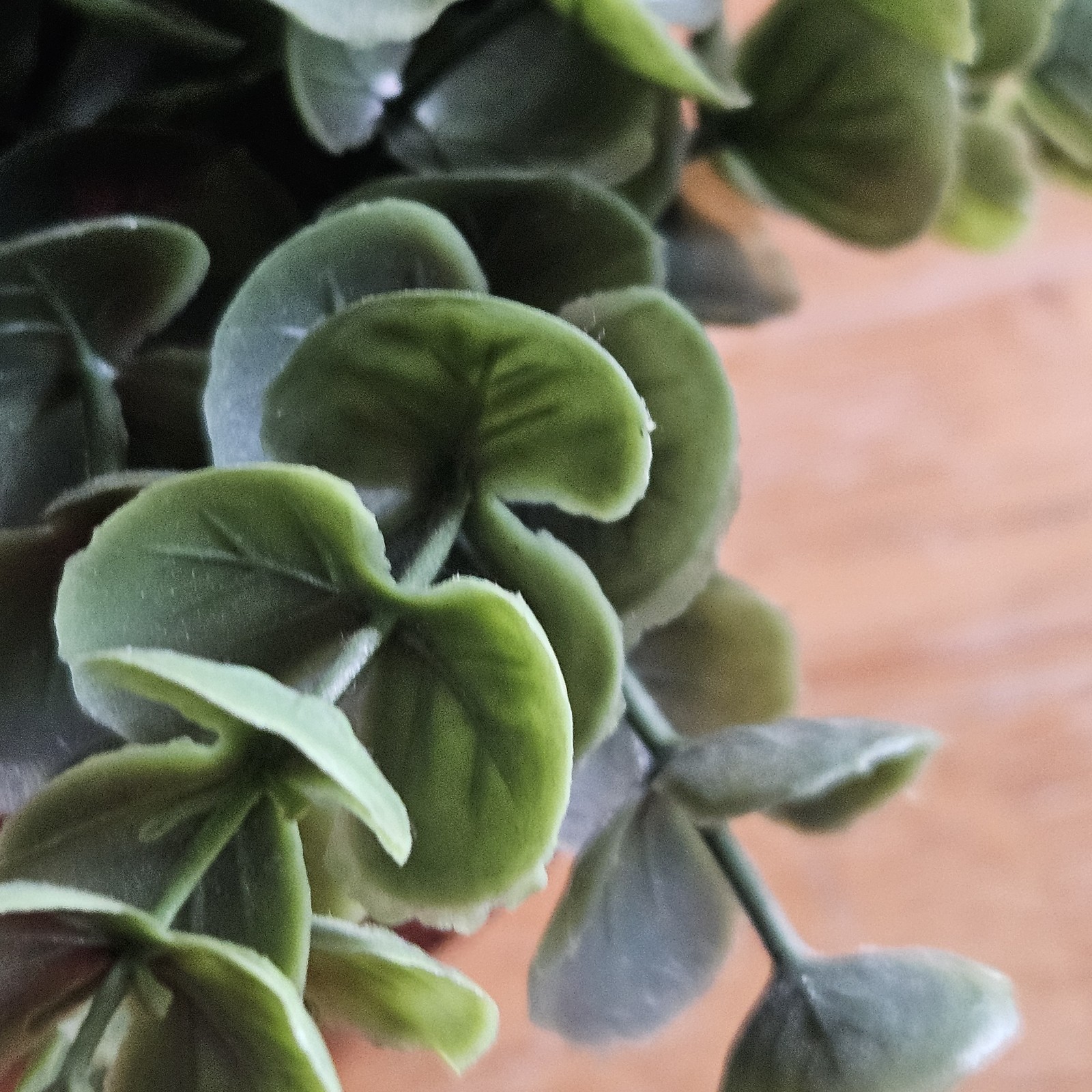 Faux Eucalyptus Boxwood with Cascading Leaves