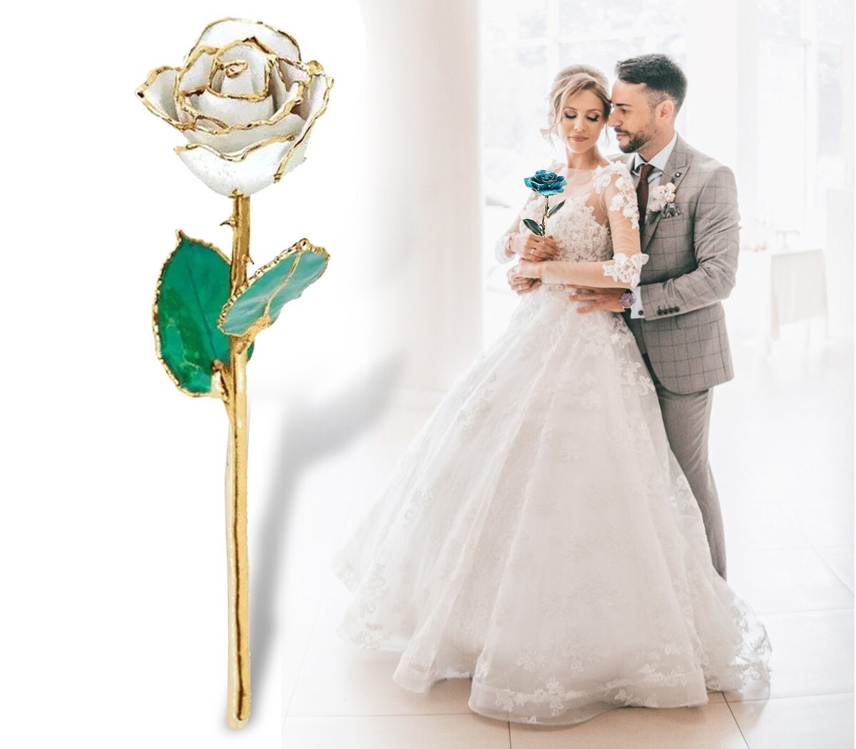 Lacquered White Rose with Gold Trim
