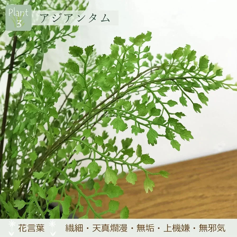Artificial Japanese Bonsai Maple Adiantum Horsetail Plant CUPBON Made in Japan